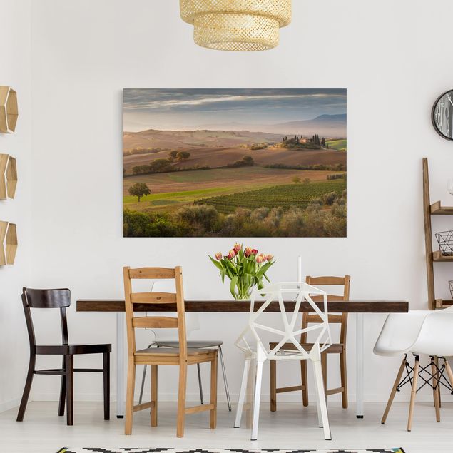 Moderne Leinwandbilder Wohnzimmer Olivenhain in der Toskana