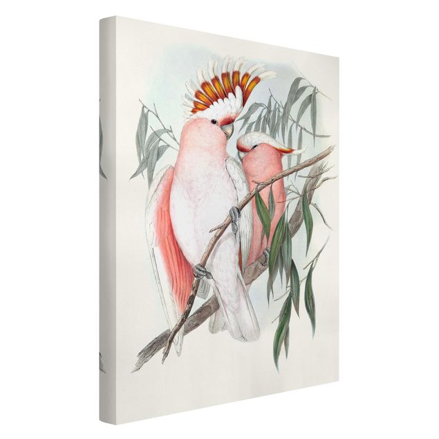 Leinwandbild Kunstdruck Pastell Papageien I