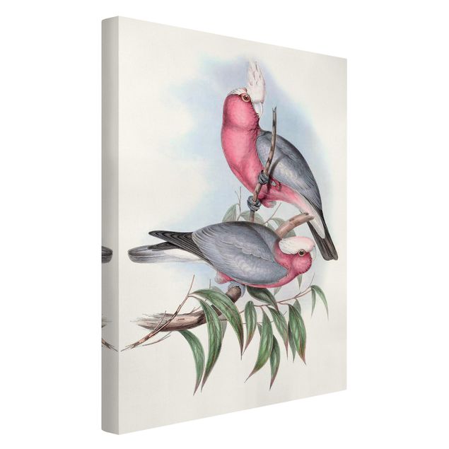 Kunstdrucke auf Leinwand Pastell Papageien II