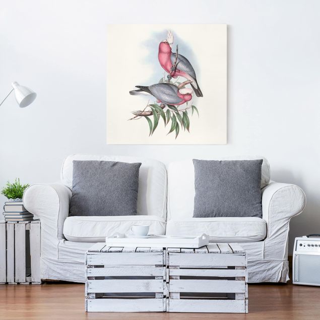 Wandbilder Tiere Pastell Papageien II