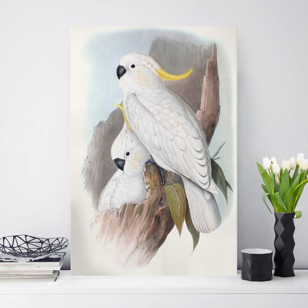 Wandbilder Vögel Pastell Papageien III