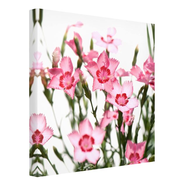 Bilder für die Wand Pink Flowers