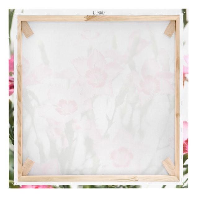 Leinwandbild - Pink Flowers - Quadrat 1:1