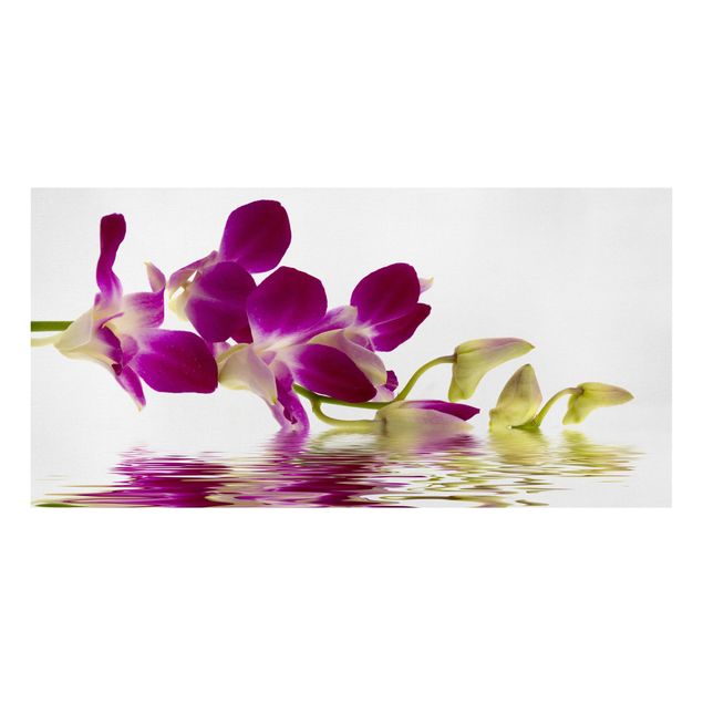 Bilder für die Wand Pink Orchid Waters