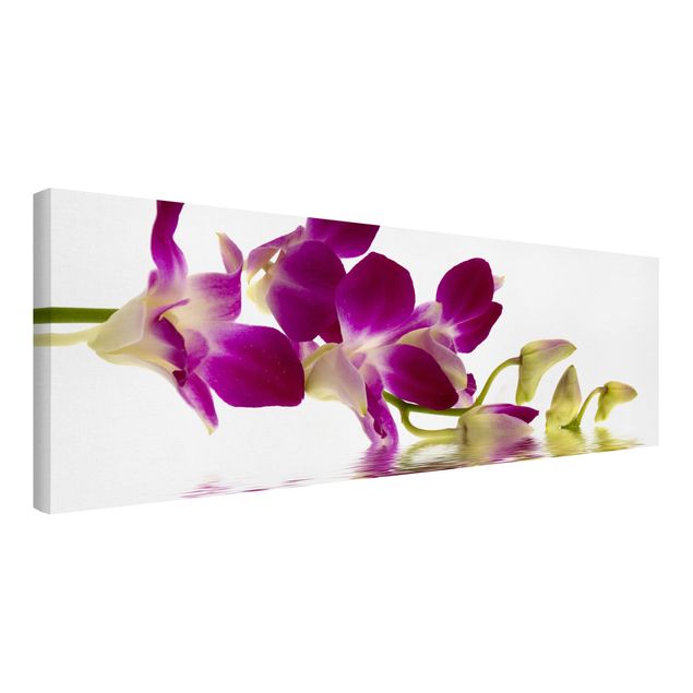 Wandbilder Wohnzimmer modern Pink Orchid Waters