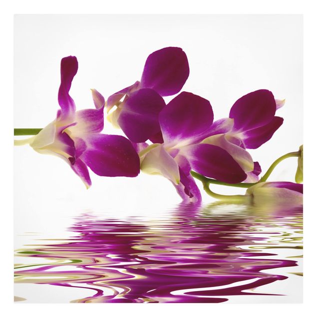 Schöne Wandbilder Pink Orchid Waters