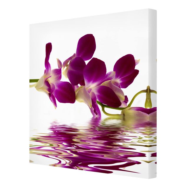 Bilder auf Leinwand Pink Orchid Waters