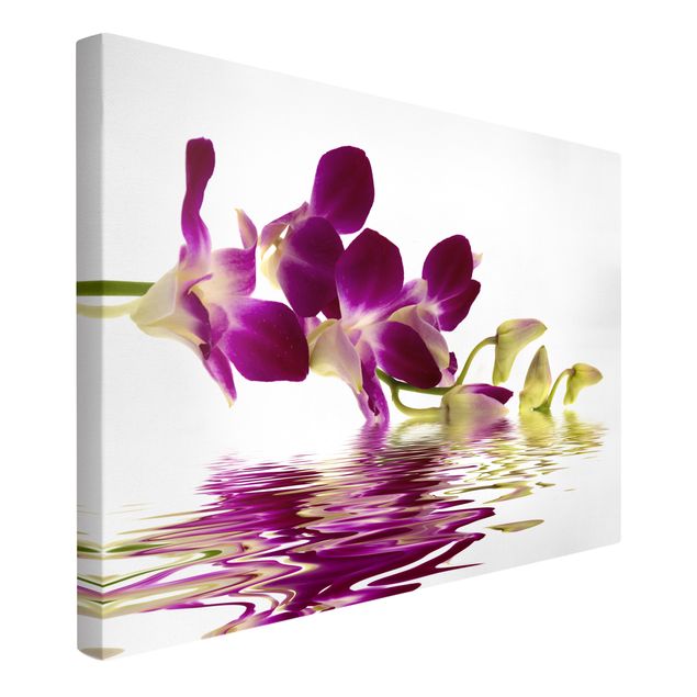 Leinwandbilder Wohnzimmer modern Pink Orchid Waters