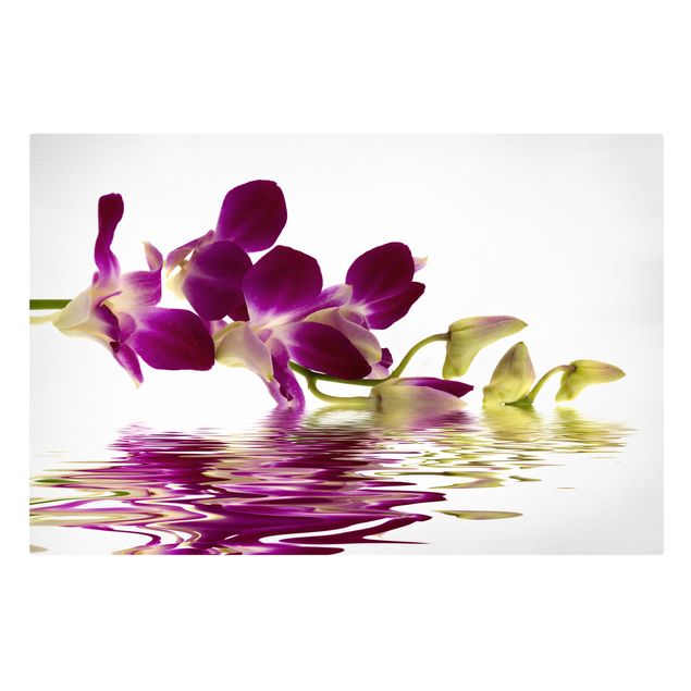 Schöne Wandbilder Pink Orchid Waters