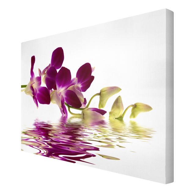 Bilder auf Leinwand Pink Orchid Waters