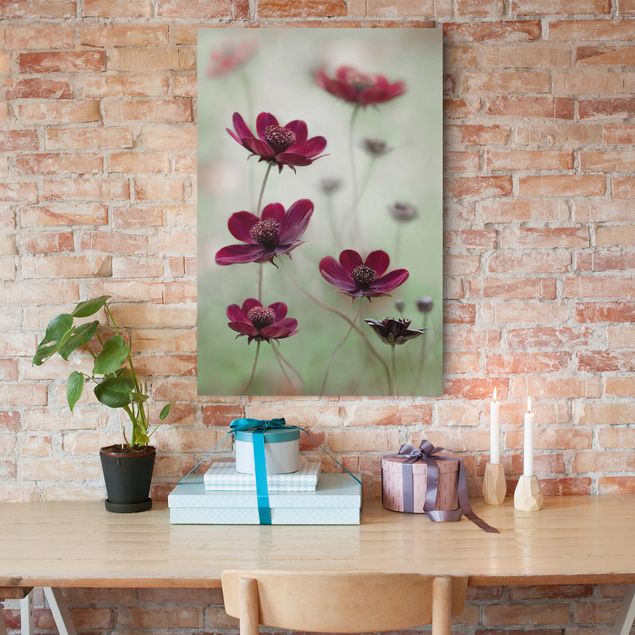 Moderne Leinwandbilder Wohnzimmer Pinke Kosmeen
