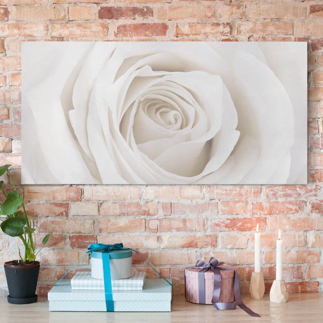 Wandbilder XXL Pretty White Rose