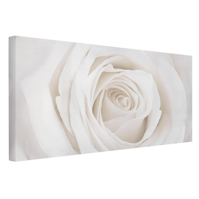 Wandbilder Wohnzimmer modern Pretty White Rose