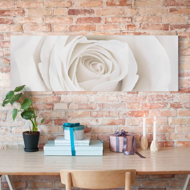 Wandbilder Rosen Pretty White Rose