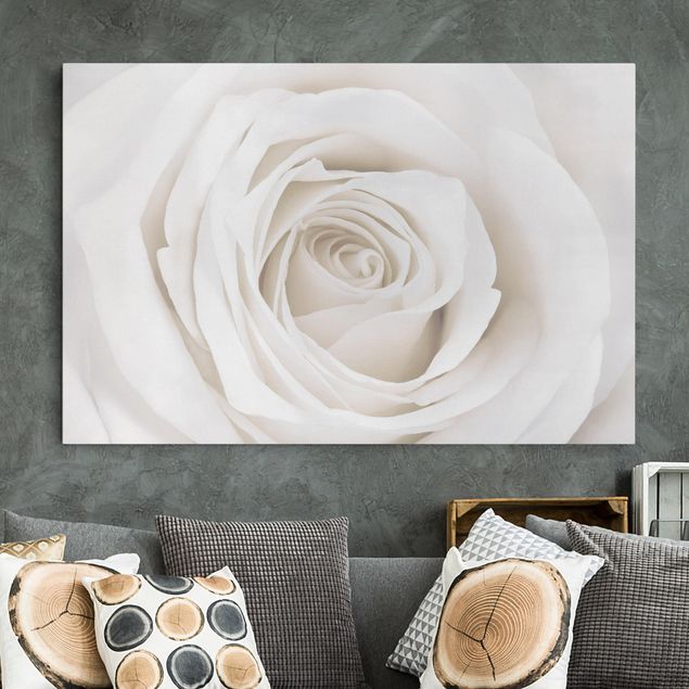 Leinwandbilder XXL Pretty White Rose