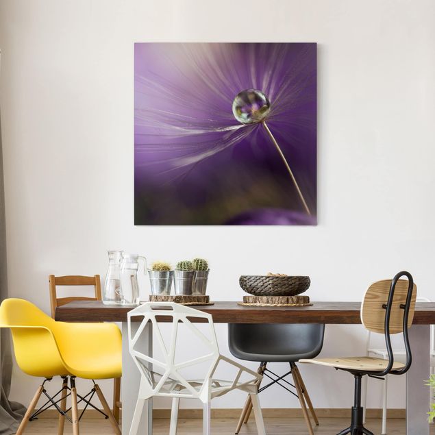 Leinwandbilder Blumen Pusteblume in Violett