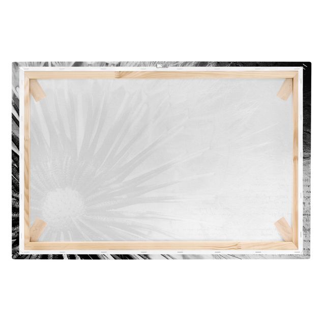 Schöne Leinwandbilder Pusteblume Schwarz & Weiß