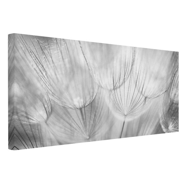 Wandbilder Schwarz-Weiß Pusteblumen Makroaufnahme in schwarz weiss