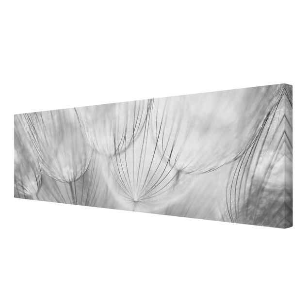 Bilder für die Wand Pusteblumen Makroaufnahme in schwarz weiß