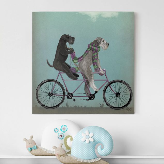 Wandbilder Hund Radtour - Schnauzer Tandem