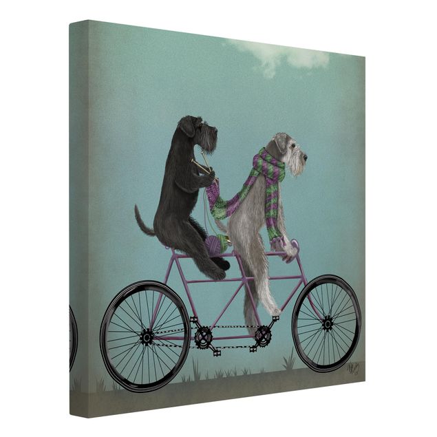 Kunstdrucke auf Leinwand Radtour - Schnauzer Tandem