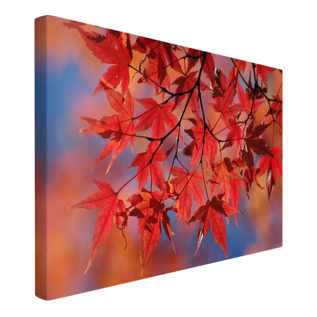 Moderne Leinwandbilder Wohnzimmer Red Maple