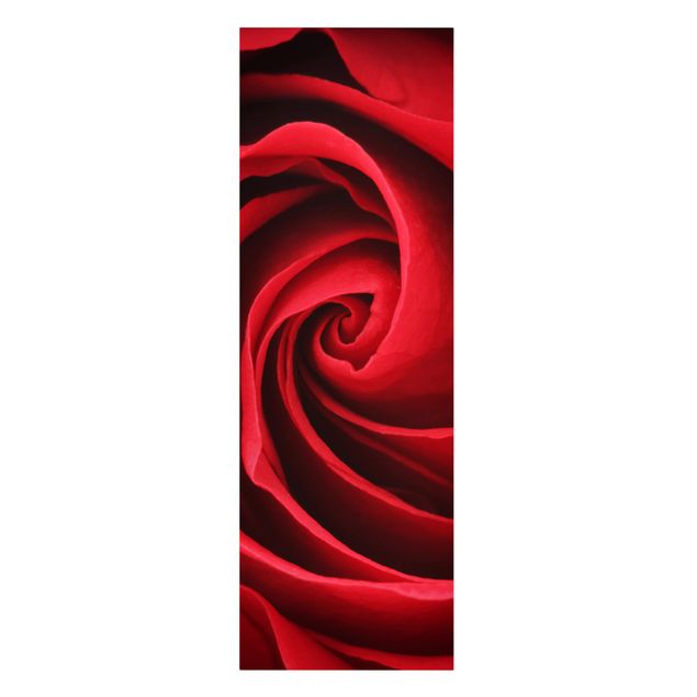 Schöne Wandbilder Red Rose Blossom