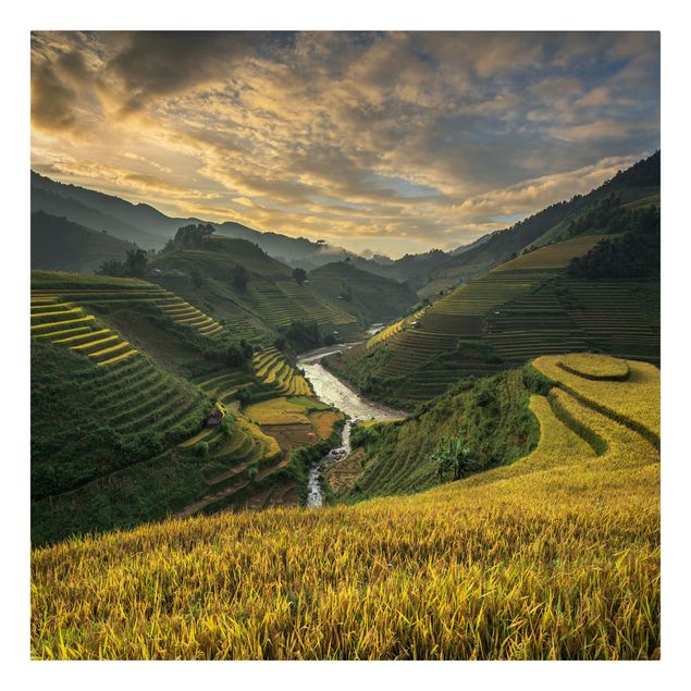Bilder für die Wand Reisplantagen in Vietnam