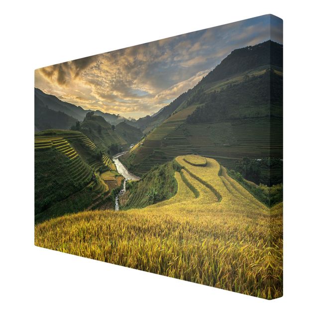 Leinwandbilder Reisplantagen in Vietnam