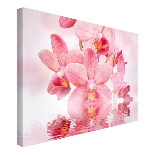 Leinwandbilder Wohnzimmer modern Rosa Orchideen auf Wasser
