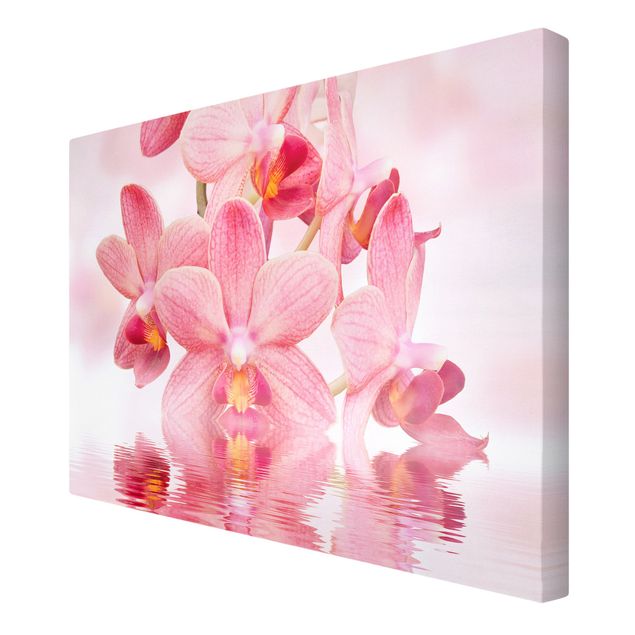 Bilder auf Leinwand Rosa Orchideen auf Wasser