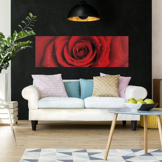 Rosen Bild auf Leinwand Rote Rose mit Wassertropfen