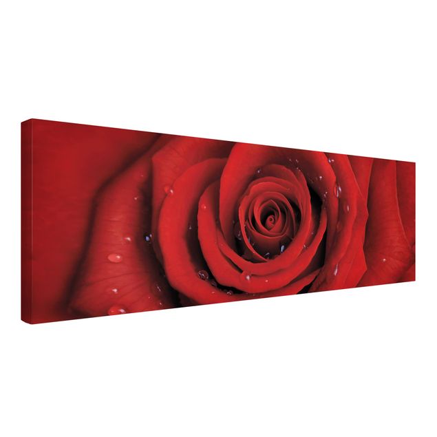 Leinwandbilder Wohnzimmer modern Rote Rose mit Wassertropfen