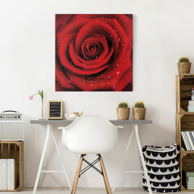 Rosen Bild auf Leinwand Rote Rose mit Wassertropfen
