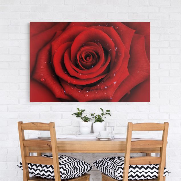 Leinwandbilder Blumen Rote Rose mit Wassertropfen