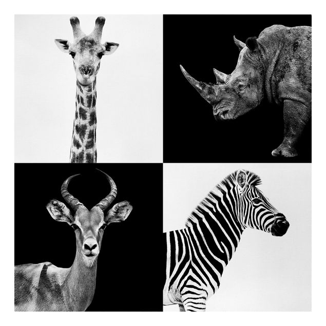 Leinwand Kunstdruck Safari Quartett