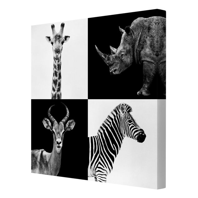 Leinwandbilder Tier Safari Quartett