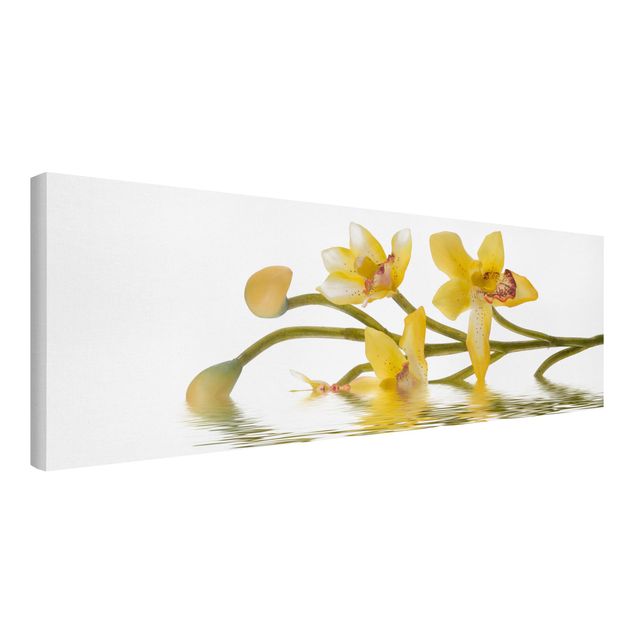 Leinwandbilder Wohnzimmer modern Saffron Orchid Waters
