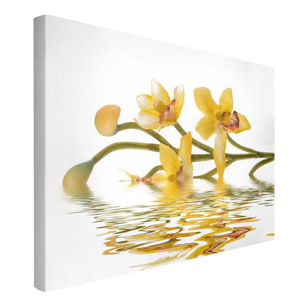 Moderne Leinwandbilder Wohnzimmer Saffron Orchid Waters