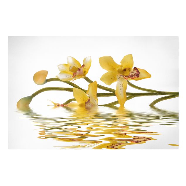 Bilder für die Wand Saffron Orchid Waters