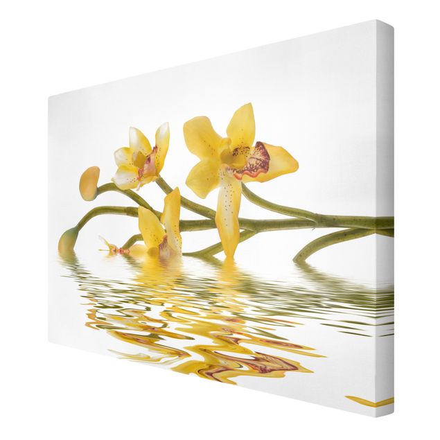 Schöne Leinwandbilder Saffron Orchid Waters