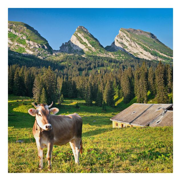 Wandbilder Wald Schweizer Almwiese mit Kuh