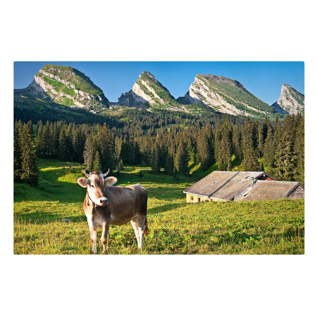 Leinwandbilder Wald Schweizer Almwiese mit Kuh