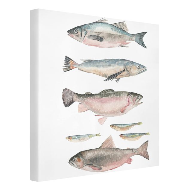 Leinwandbild Kunstdruck Sieben Fische in Aquarell I
