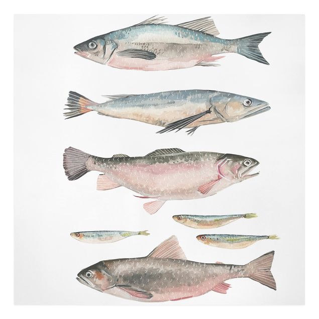 Tierbilder auf Leinwand Sieben Fische in Aquarell I
