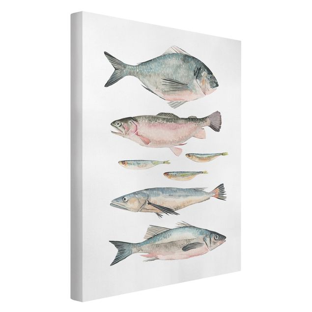 Leinwandbild Kunstdruck Sieben Fische in Aquarell II