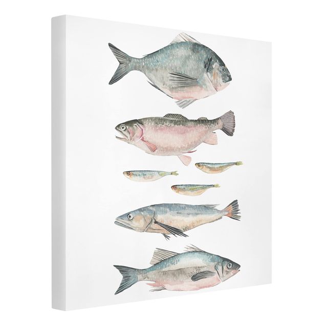 Kunstdrucke auf Leinwand Sieben Fische in Aquarell II