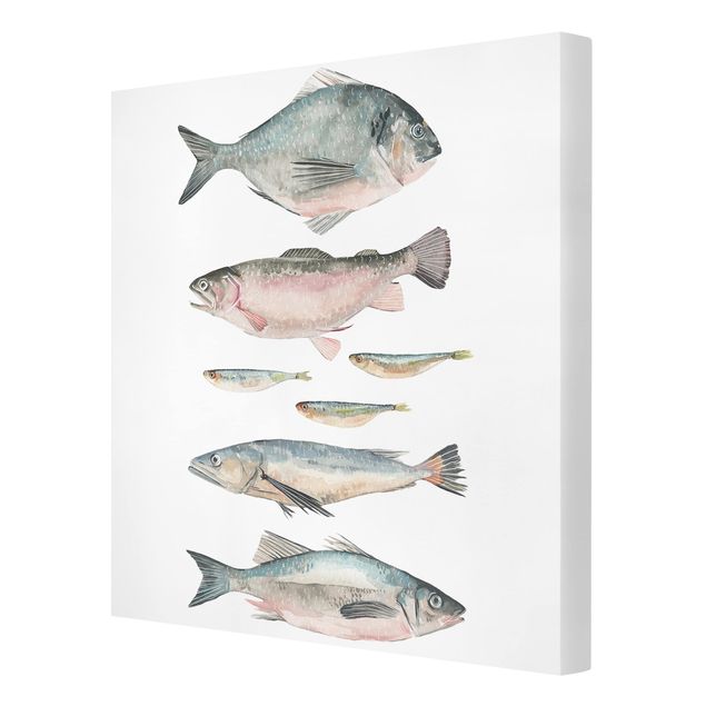 Wandbilder Sieben Fische in Aquarell II