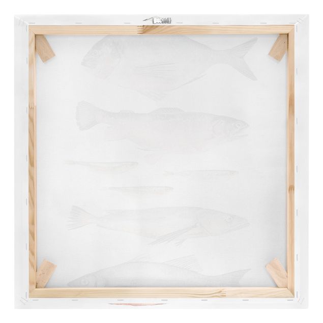 Leinwandbilder Sieben Fische in Aquarell II