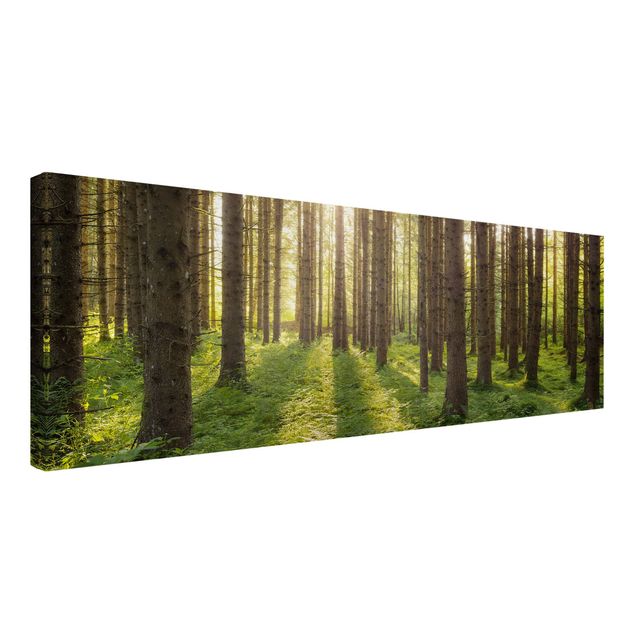 Wandbilder Wohnzimmer modern Sonnenstrahlen in grünem Wald